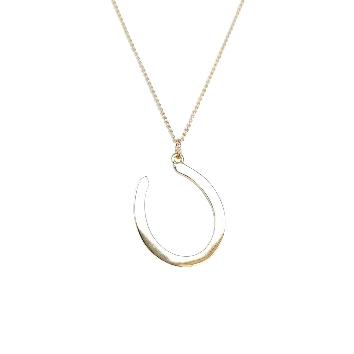 Jane Win Lucky Horseshoe Pendant Necklace